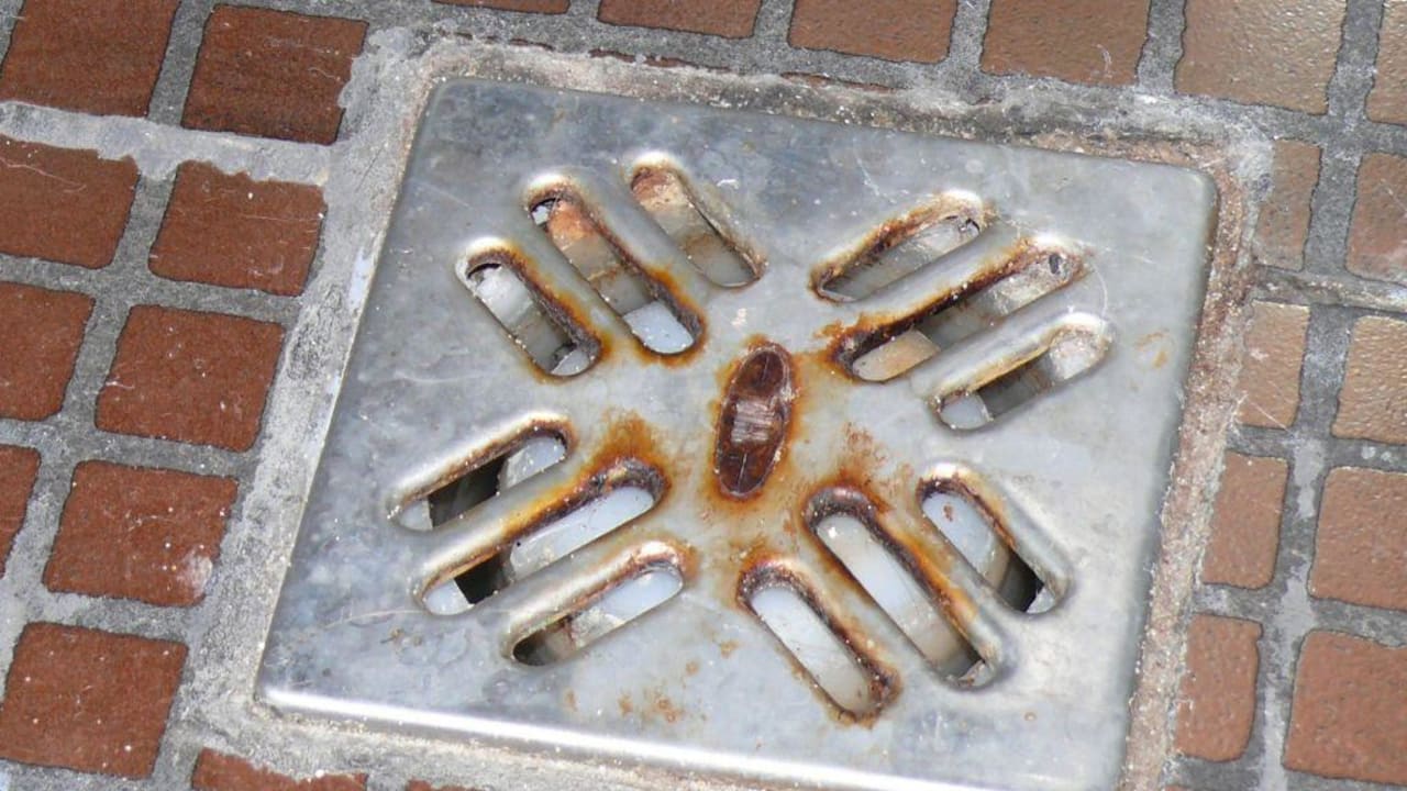 Badablauf  zimmer D312 Barceló Royal Beach