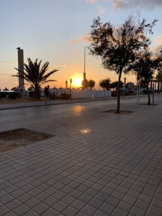 Ausblick Hotel Riu Playa Park