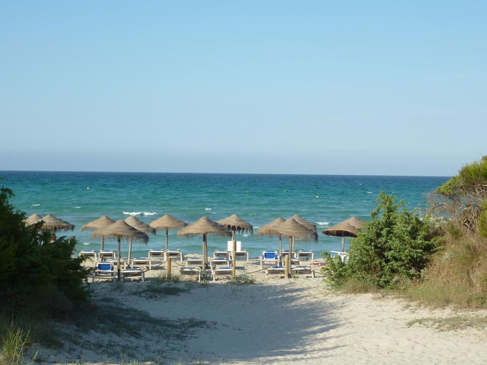 Blick vom Hotel zum Meer Grupotel Alcudia Pins
