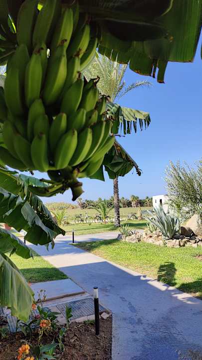 Gartenanlage Grecotel Casa Paradiso