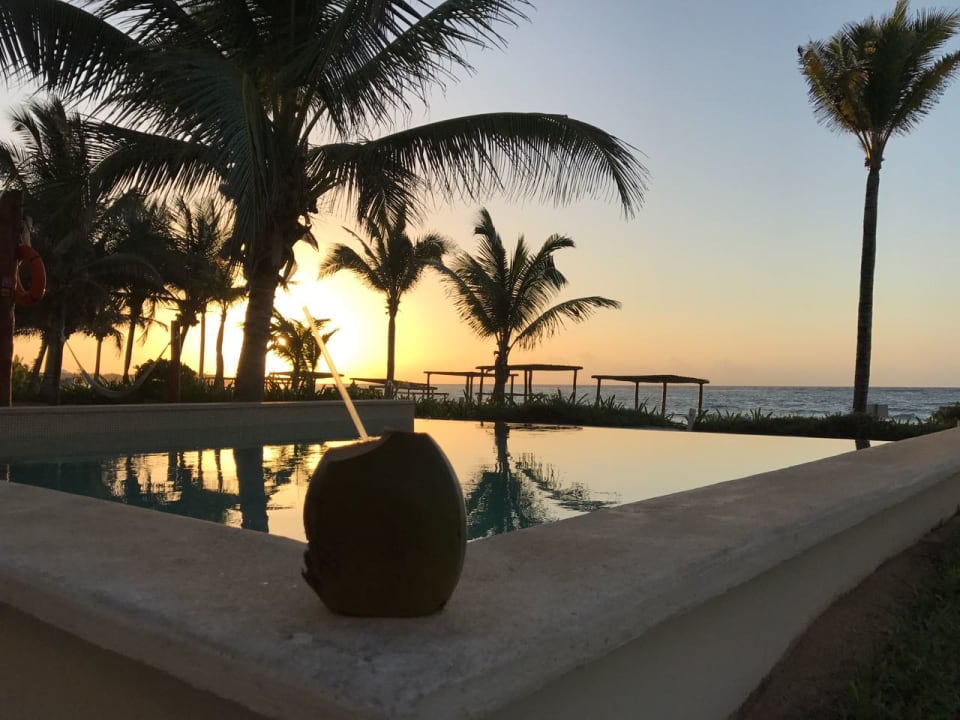 Pool Akumal Bay Beach & Wellness Resort