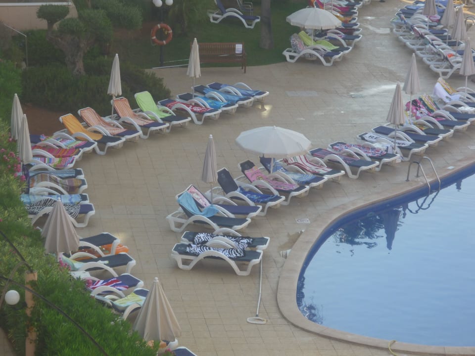 Ausschnitt vom Pool Hotel Tropic Garden