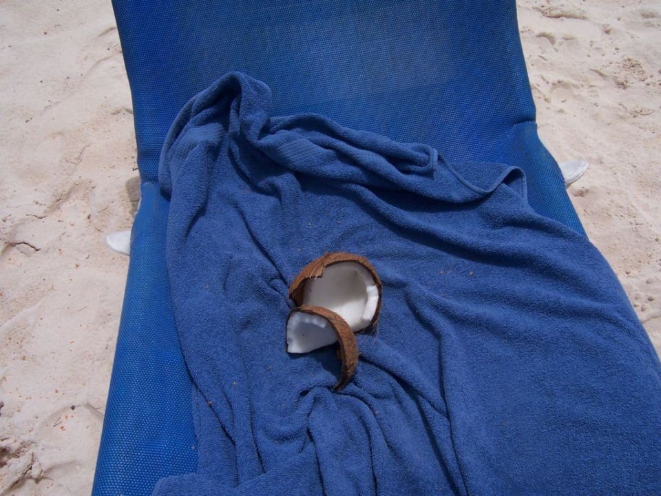 Versorgung am Strand Villas Bavaro Resort & Spa