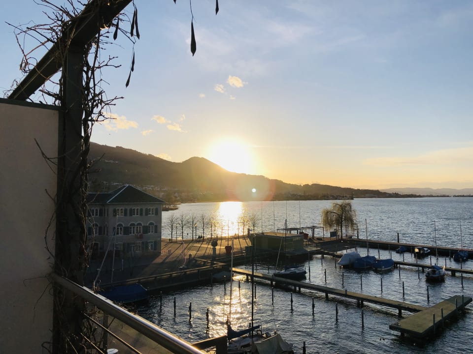 Ausblick Marina Lachen