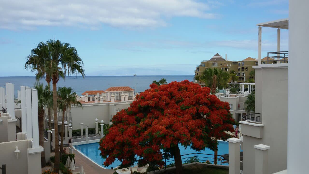 Pool Los Olivos Beach Resort