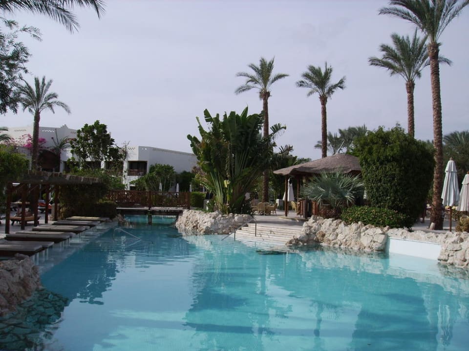 Blick aus dem Pool Ghazala Gardens