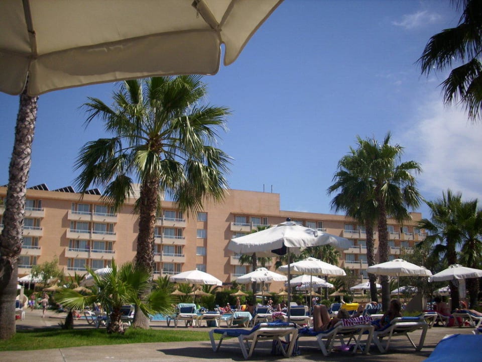 Vom Pool aus Garbí Cala Millor