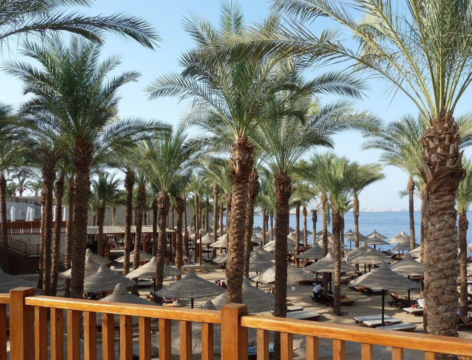 Bar The Grand Hotel Sharm El Sheikh