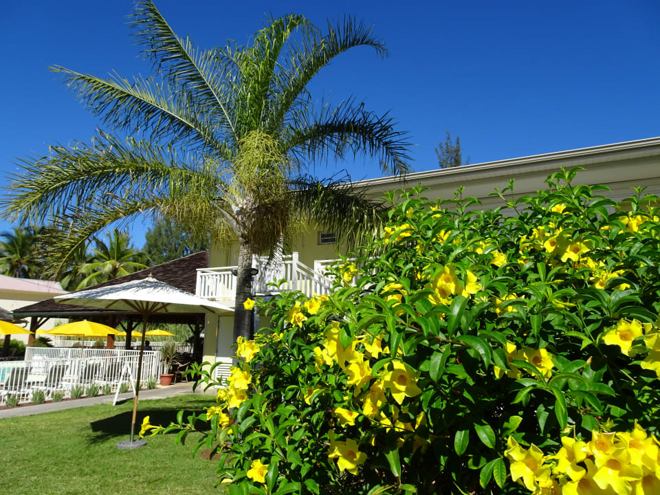 Gartenanlage Hôtel Le Récif