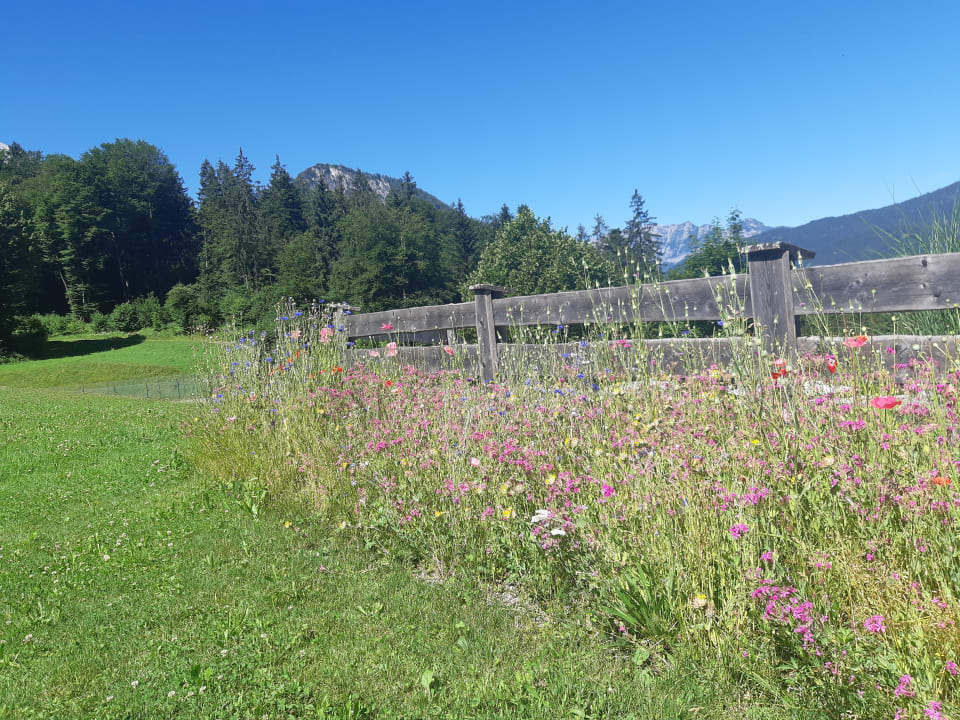 Außenansicht Alm- & Wellnesshotel Alpenhof