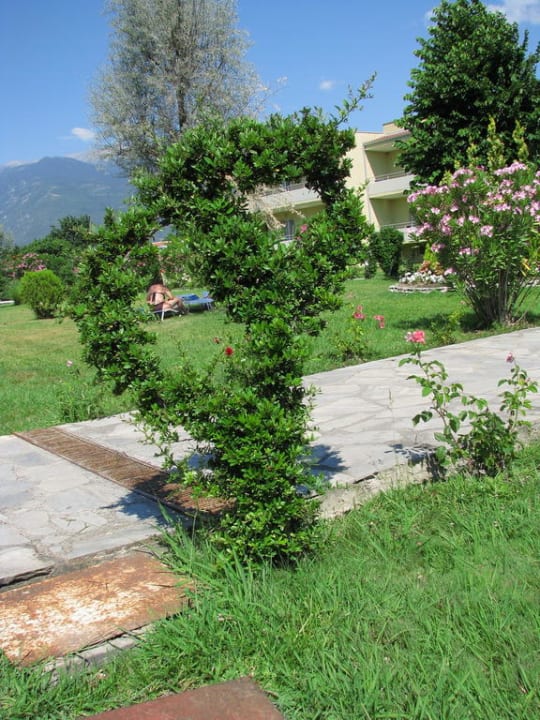 Hecke alltoura Club Hotel Poseidon Palace