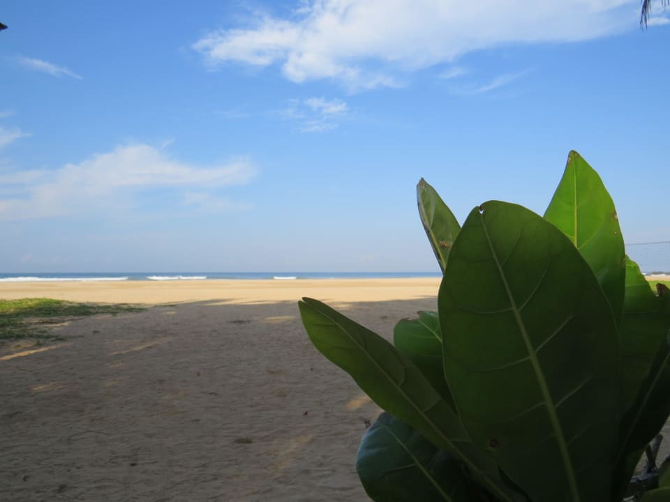Sicht vom Hotel auf das Meer Hotel Club Bentota