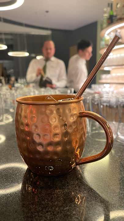 Lobby Bio-Seehotel Zeulenroda