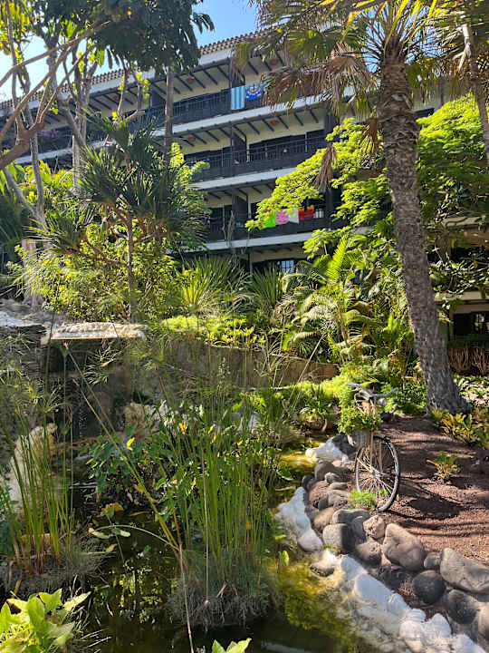 Gartenanlage Hotel Parque Tropical