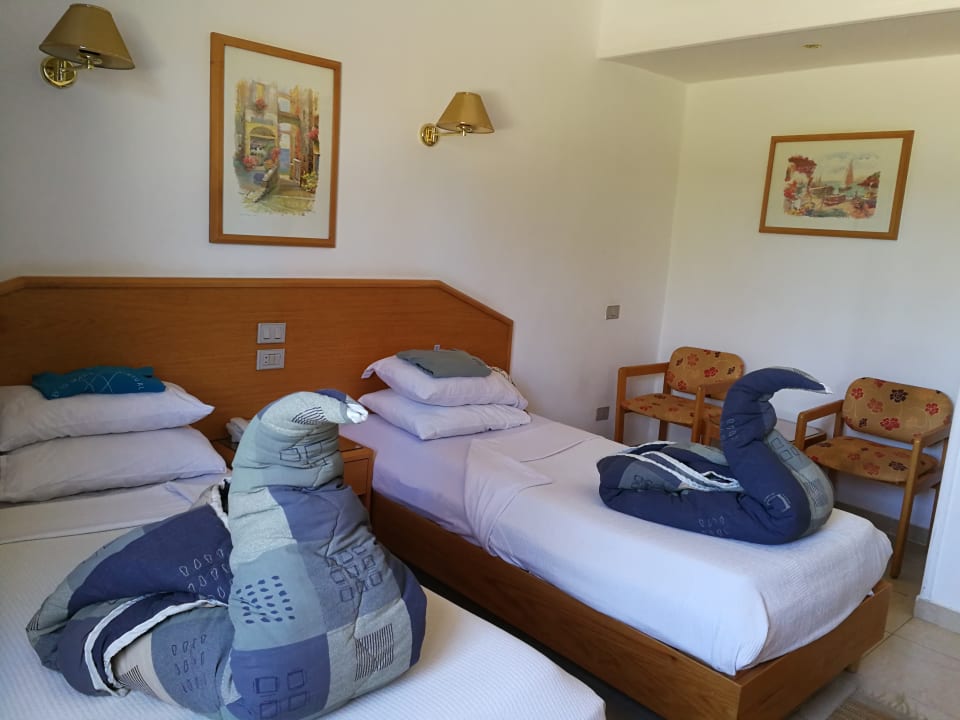 Zimmer Menaville Safaga