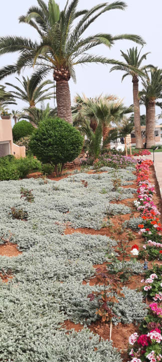 Gartenanlage Anissa Beach & Village
