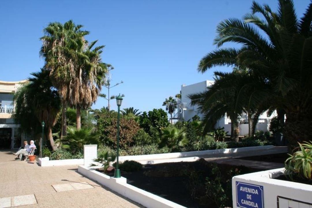 Ogród Sentido Aequora Lanzarote Suite