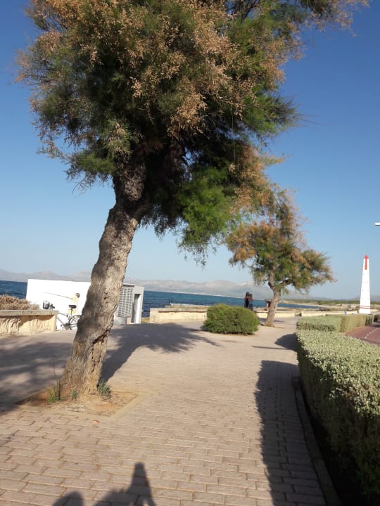 Strand Vista Park Apartments