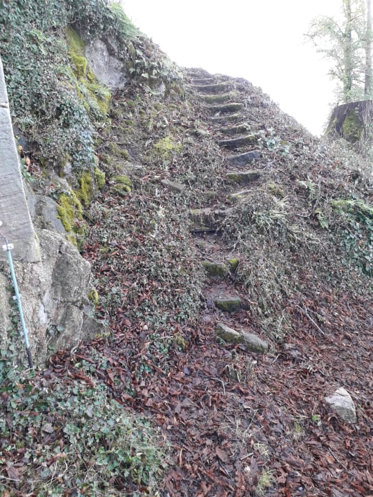 Ausblick Hotel Restaurant Rebstock Durbach