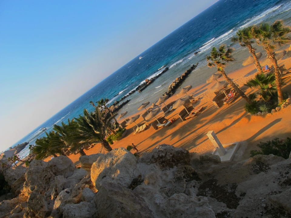 Citadel Azur Resort Pickalbatros Citadel Resort