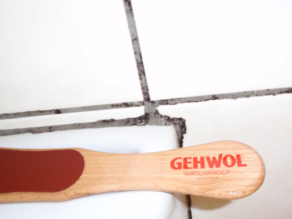 SCHIMMEL SCHIMMEL SCHIMMEL Kamelya Aishen Club