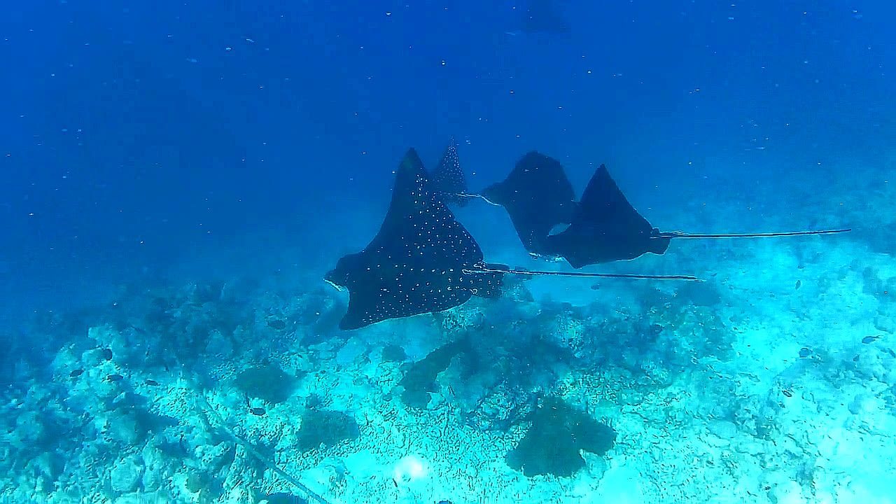 Sport & Freizeit Adaaran Select Hudhuran Fushi - Premium All Inclusive