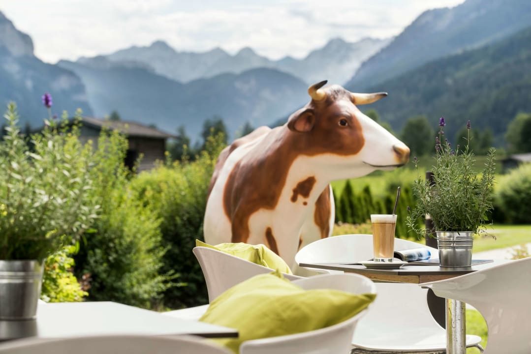 Gartenanlage elaya hotel steinplatte