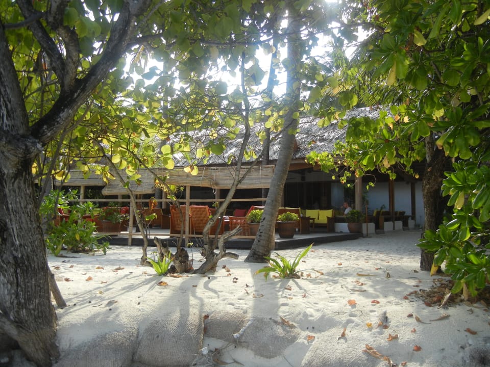 Bar NH Collection Maldives Reethi Resort