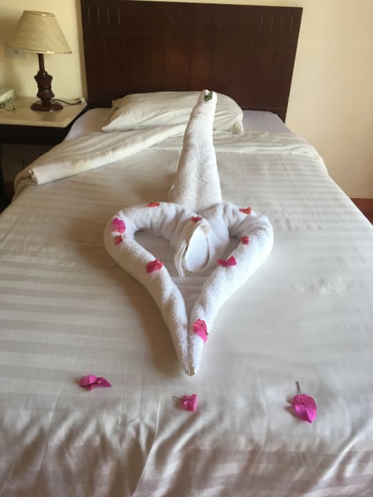 Zimmer Three Corners Sea Beach Resort