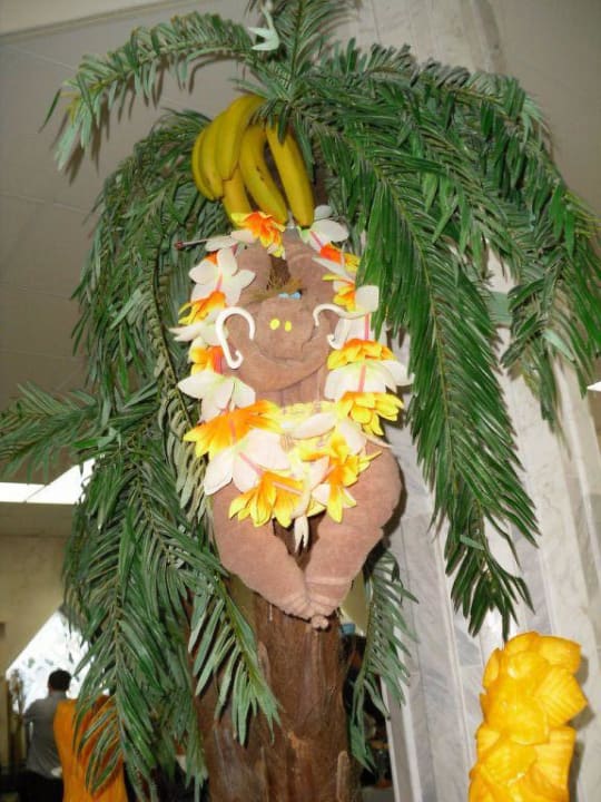 Dekoration Gala-Buffet GRIFID Vistamar