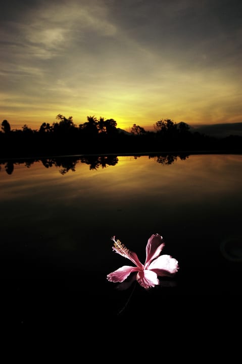 Pool Bagus Agro Pelaga