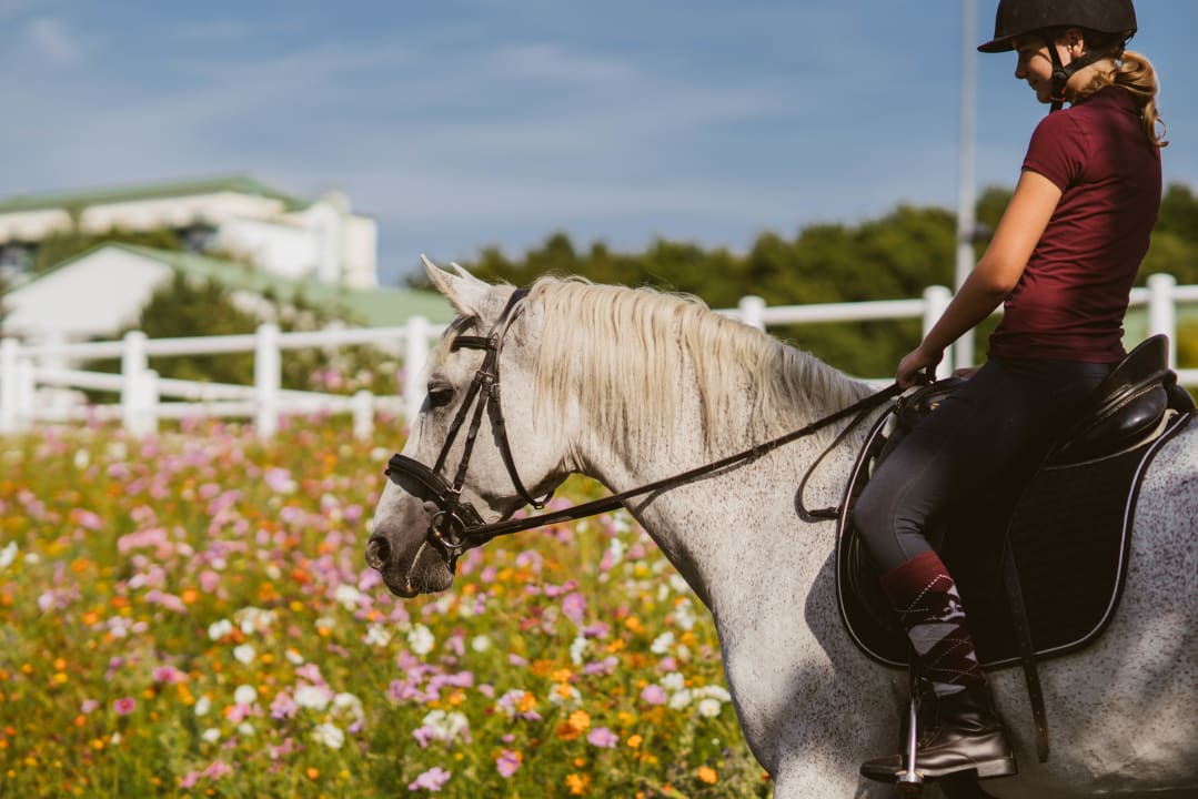 Sport & Freizeit Reiters Finest Family Hotel