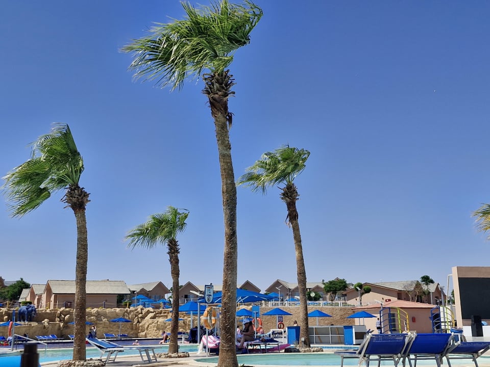 Pool Pickalbatros Jungle Aqua Park Resort - Neverland Hurghada