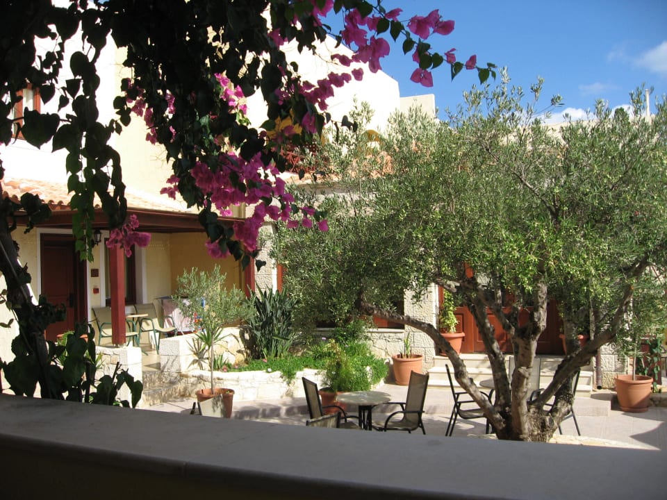 Blick vom Balkon Cactus Beach
