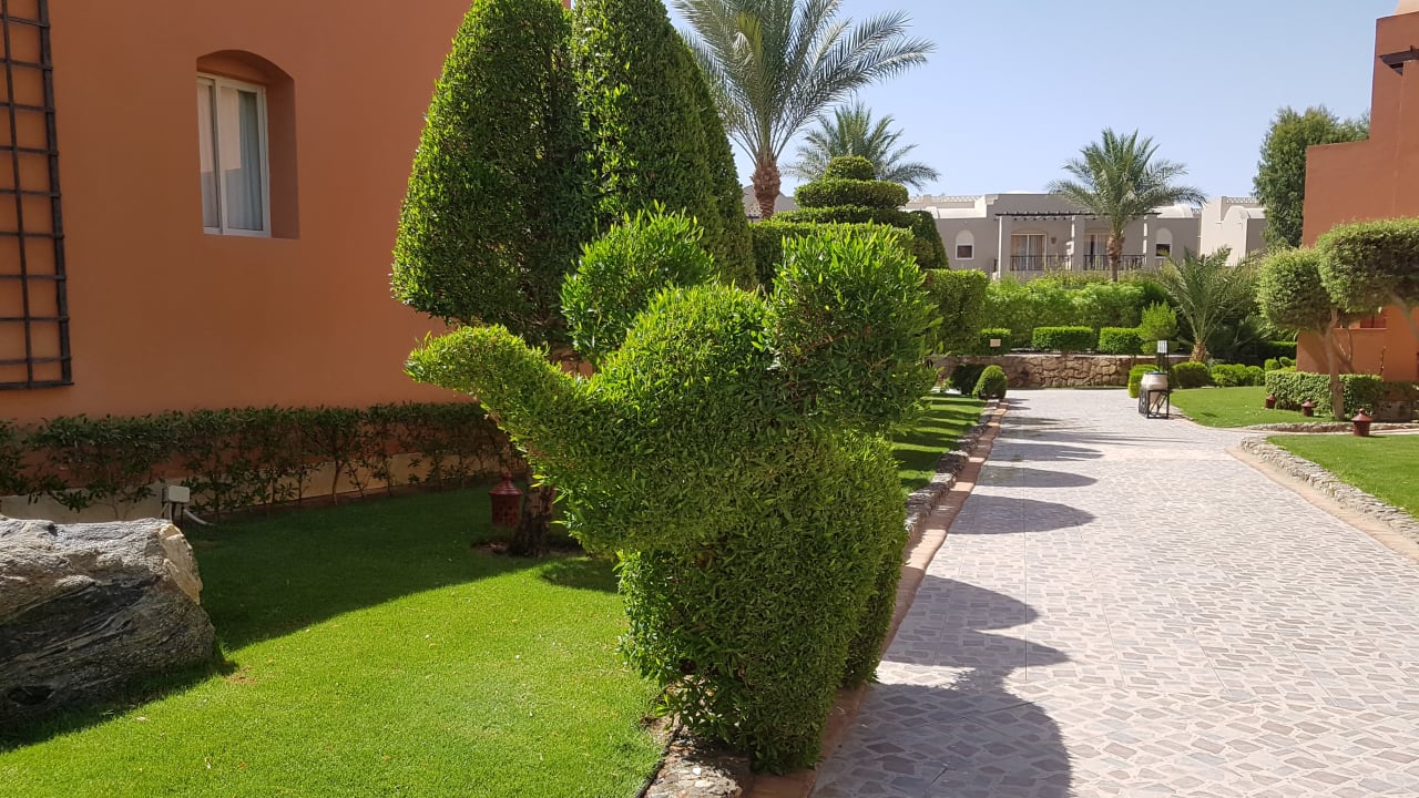 Gartenanlage Jaz Makadi Oasis Resort