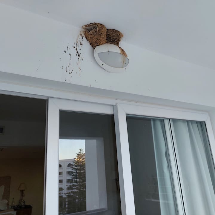 Zimmer Iberostar Selection Kantaoui Bay