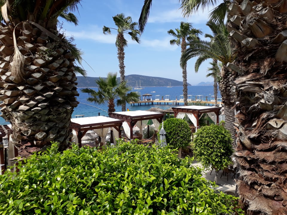 Ausblick TUI MAGIC LIFE Bodrum - Adult Only (16+)