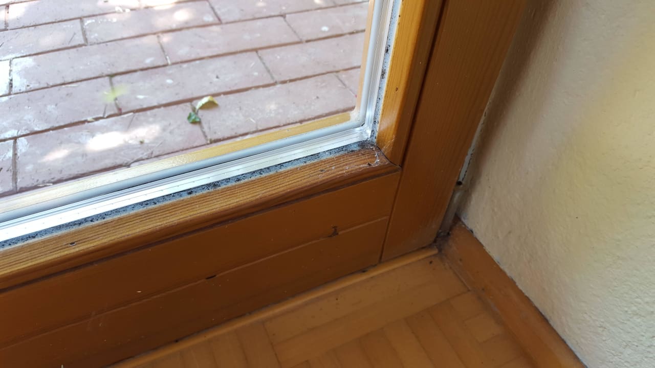 Dreckecken direkt bei Ankunft Ferienbauernhof Larrieder Mühle