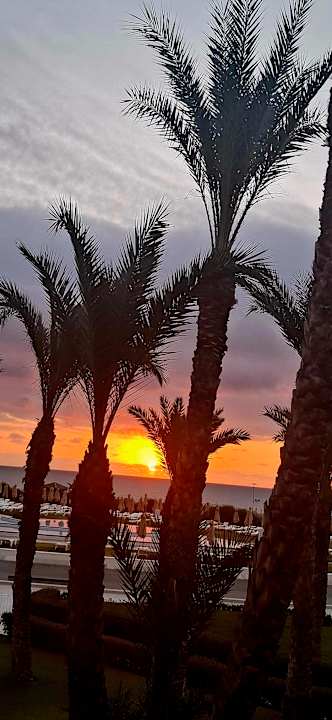 Ausblick Iberostar Waves Averroes