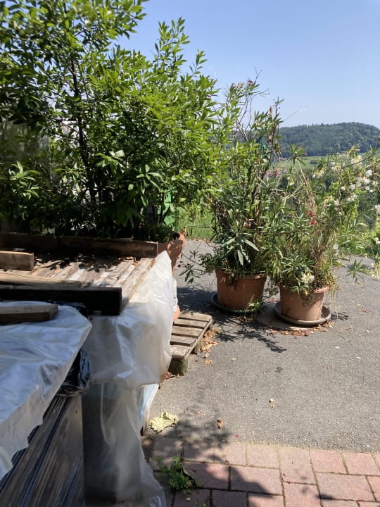 Außenansicht Weingut Kögl