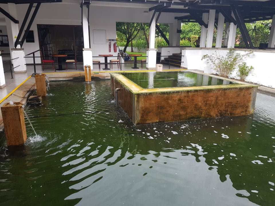 Sonstiges Club Hotel Dolphin