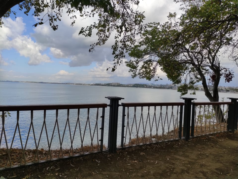 Ausblick Acanthus Cennet Barut Collection