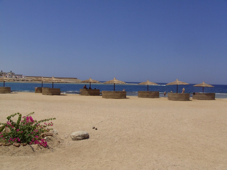 Toller sauberer Strand Coral Sun Beach