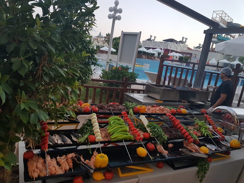 Gastro Seashell Vega