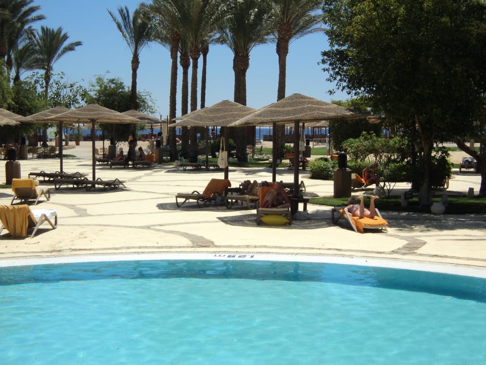 Viele Liegen mit Auflagen am Pool Grand Makadi