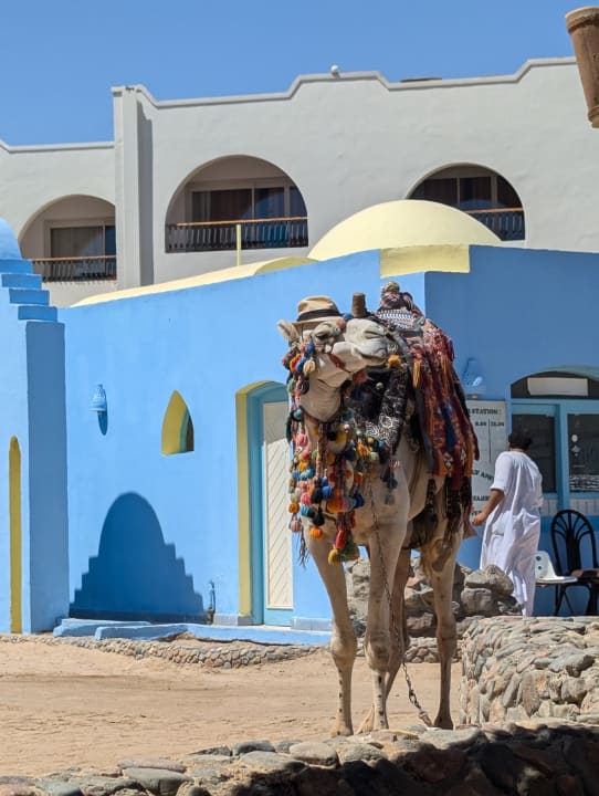 Sonstiges Arabella Azur Resort