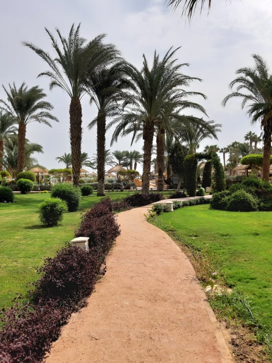 Gartenanlage Lotus Bay Beach Resort