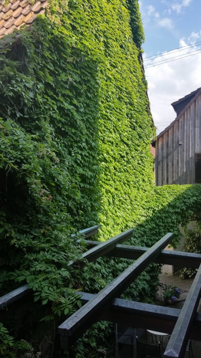Gartenlokal von oben Hotel Adler Bad Rappenau
