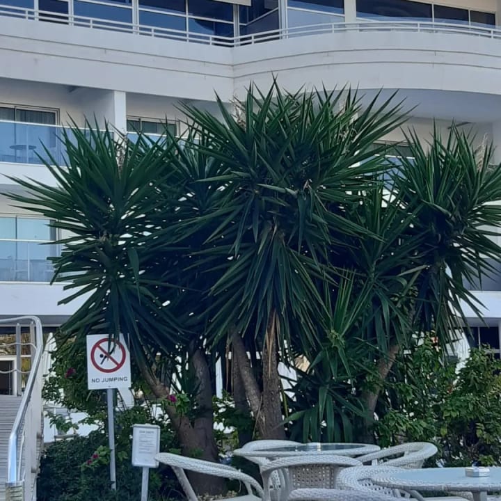 Gastro Laguna Beach Alya Resort & Spa Hotel