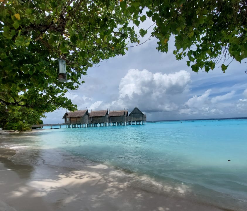 Strand Constance Moofushi Maldives
